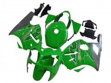 2002-2006 Kawasaki ZX12R Motorcycle Fairings - Green Silver
