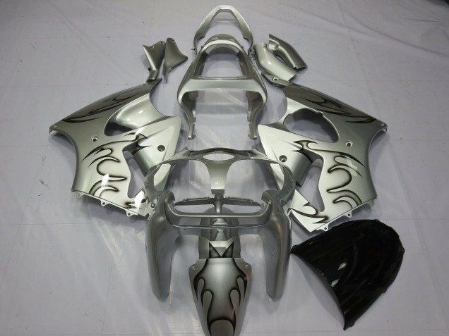 Silver Flame - 2000-2002 Kawasaki ZX6R Silver Flame - 2000-2002 Kawasaki ZX6R